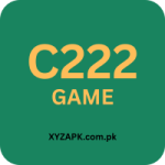C222 Game