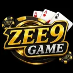 Zee9 Game
